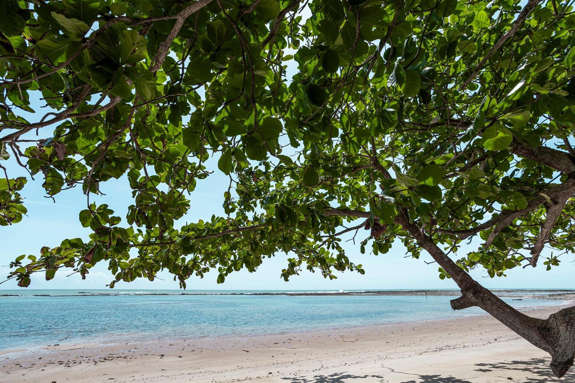 Reserva Jacuma Boutique Hotel Trancoso Eksteriør billede